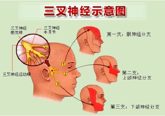 f52a0ac6b3c7bc5be52ceb4a1eae8d75.png